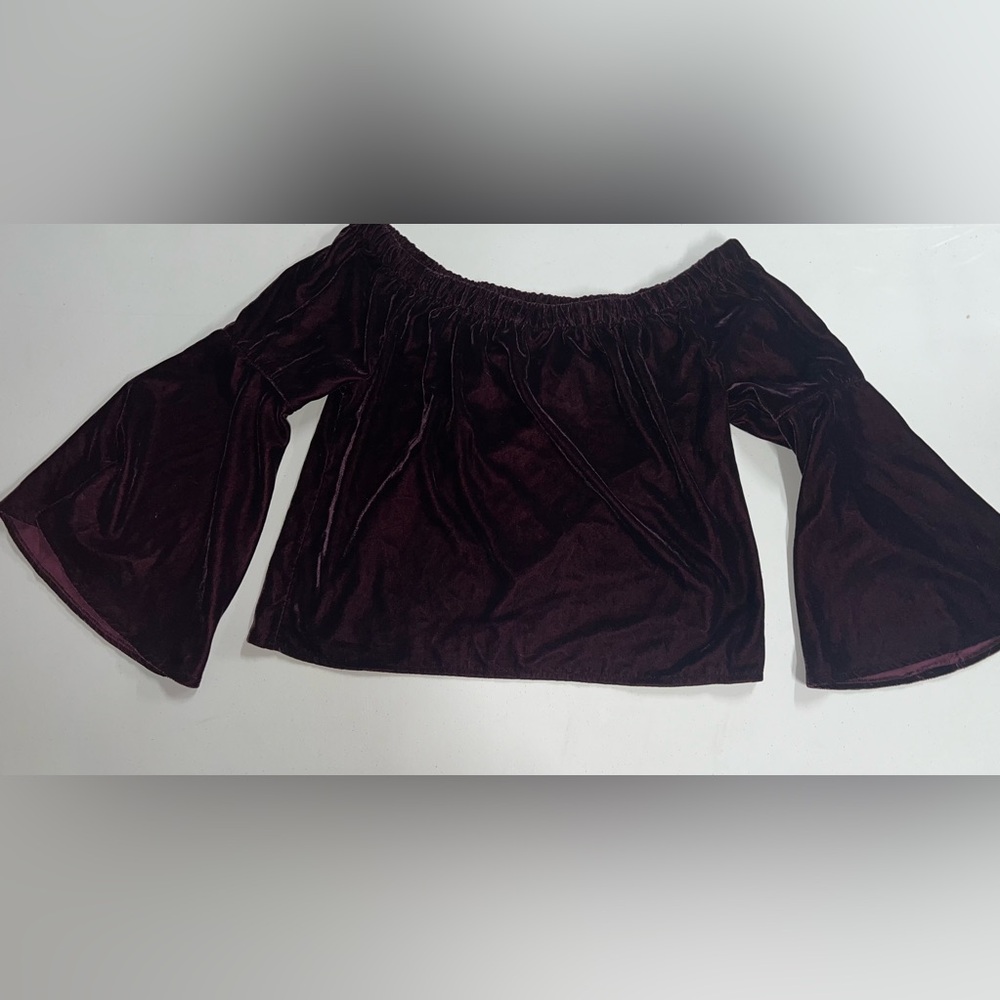 velvet whimsigoth plum purple bell sleeved flowy shirt